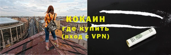 стаф Горняк