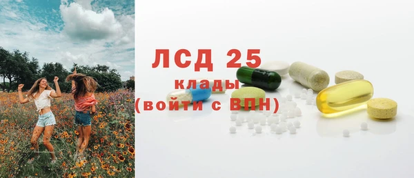сатива Горно-Алтайск