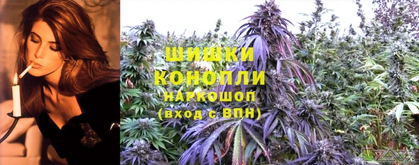 сатива Горно-Алтайск