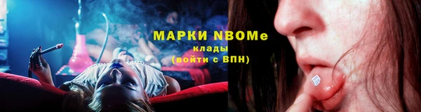 стаф Горняк