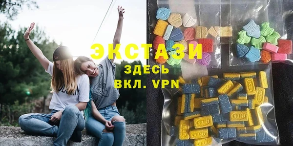 стаф Горняк