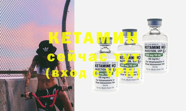 стаф Горняк