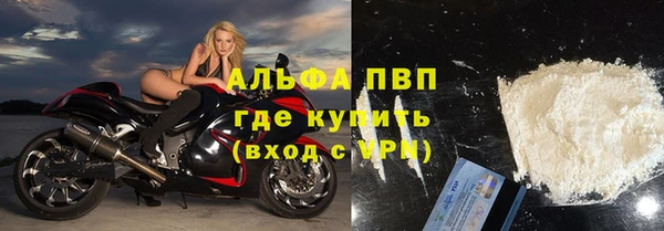 сатива Горно-Алтайск