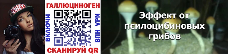 продажа наркотиков  Омутнинск  Галлюциногенные грибы GOLDEN TEACHER 